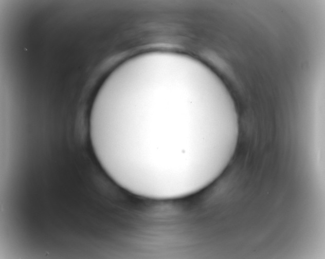 X0000088151408200706041346