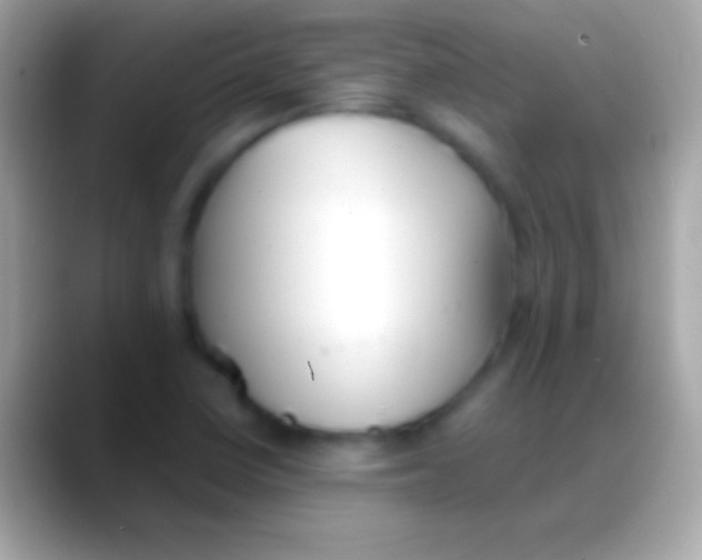 X0000088151410200706041347