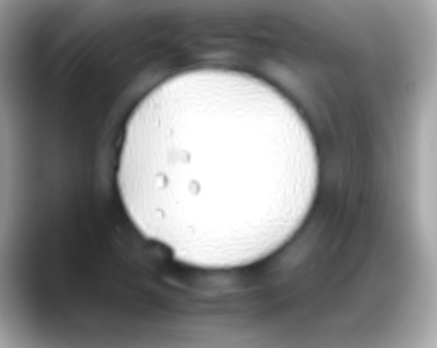 X0000088151411200706041347