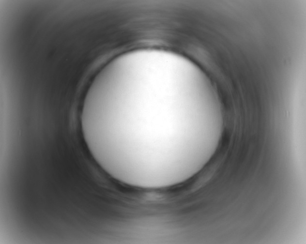 X0000088151412200706041347