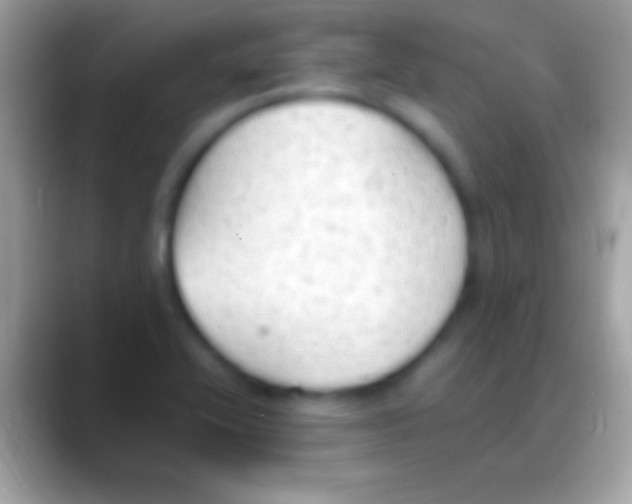 X0000088151416200706041347