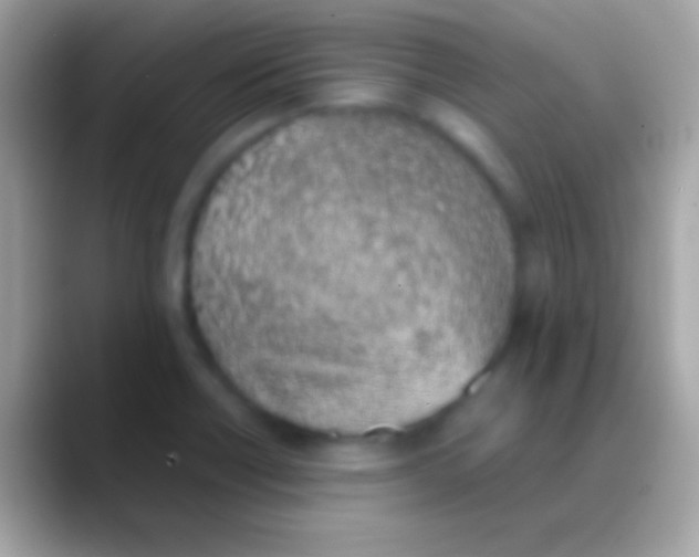 X0000088151418200706041347