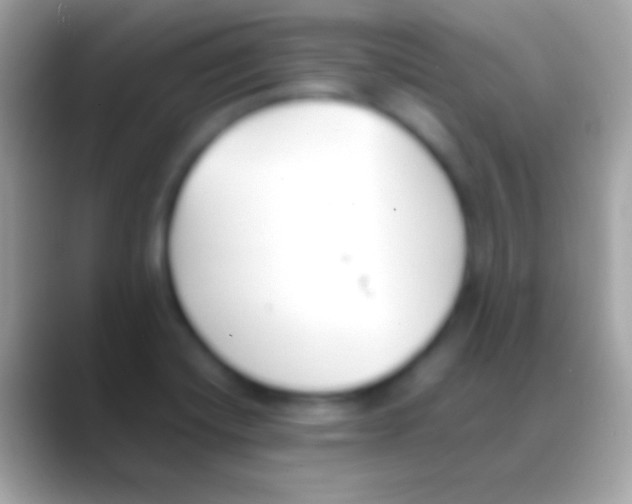 X0000088151420200706041347