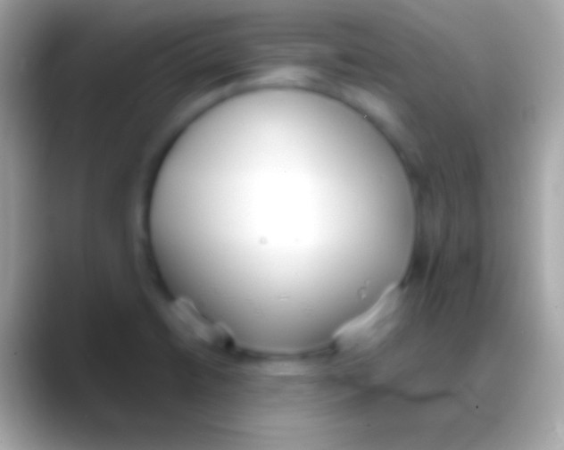 X0000088151422200706041347