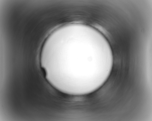 X0000088151423200706041347