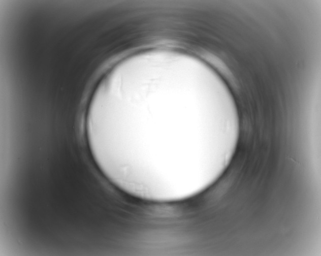 X0000088151424200706041347