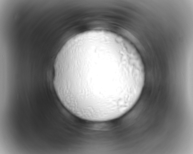 X0000088151425200706041347