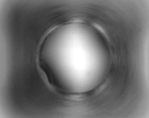 X0000088151426200706041347