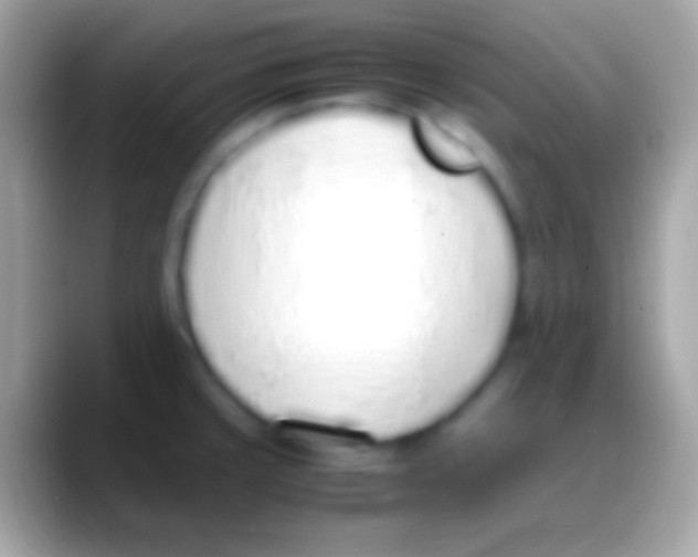 X0000088151429200706041347