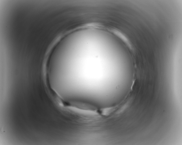 X0000088151430200706041347