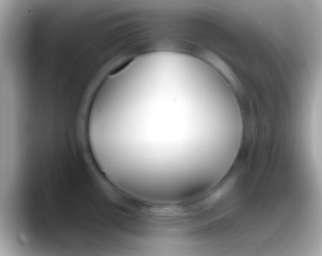 X0000088151434200706041347