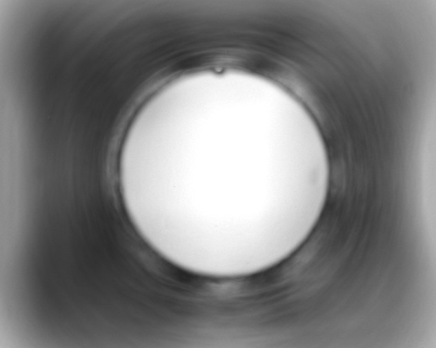 X0000088151435200706041347