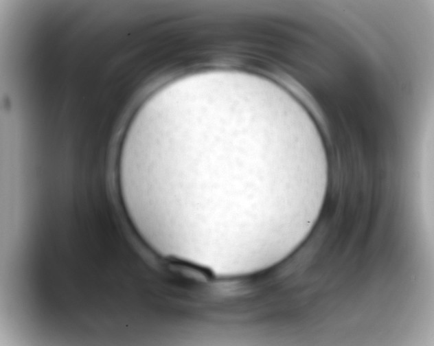 X0000088151437200706041347