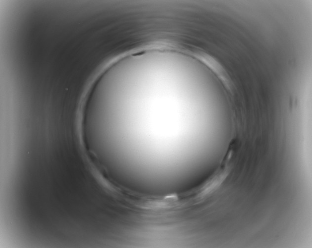 X0000088151438200706041347