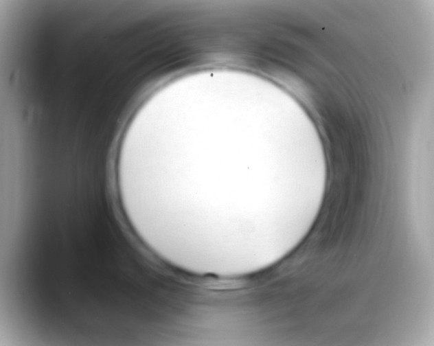 X0000088151440200706041347