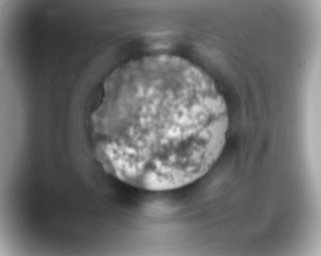 X0000088151441200706041346