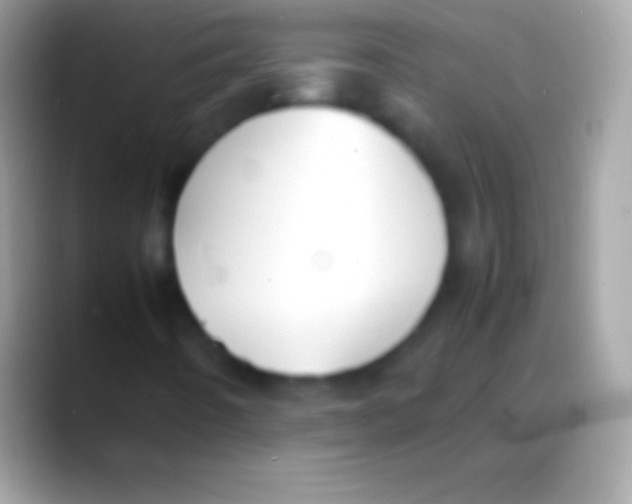 X0000088151442200706041346