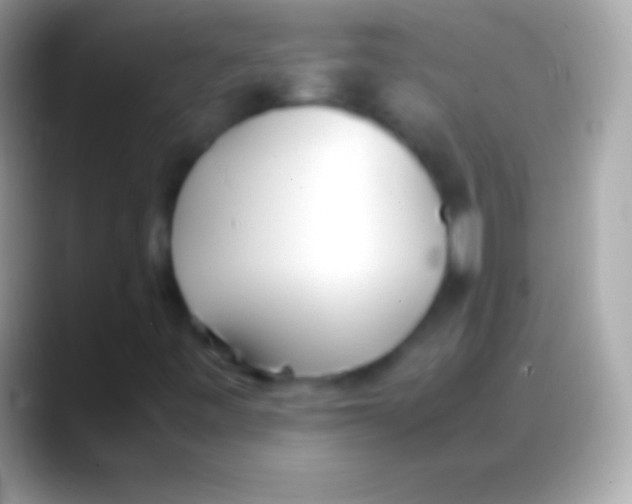 X0000088151443200706041346