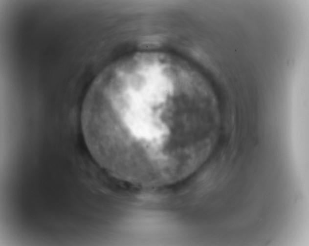 X0000088151445200706041346