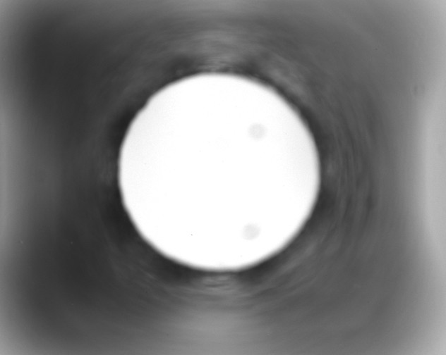 X0000088151447200706041346