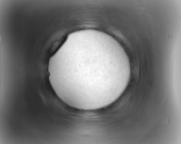 X0000088151448200706041346