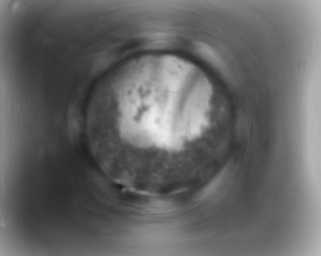 X0000088151449200706041346