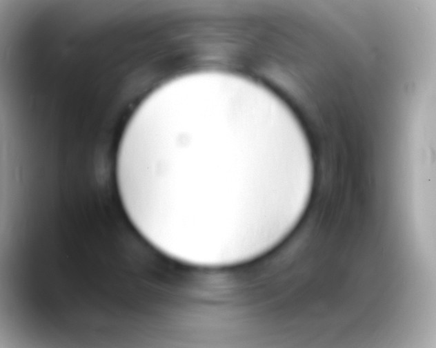 X0000088151450200706041346