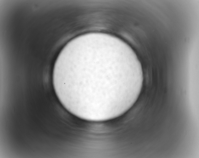 X0000088151452200706041346