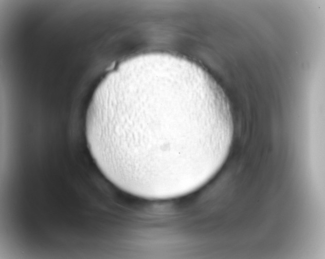 X0000088151453200706041346