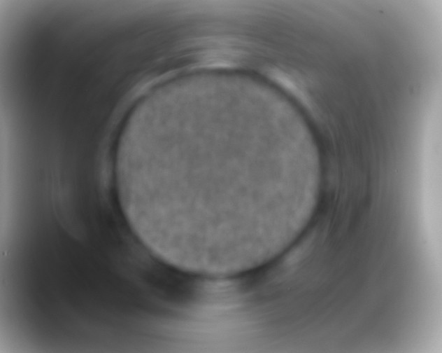 X0000088151459200706041346