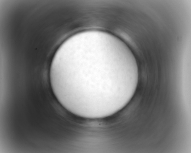 X0000088151460200706041346