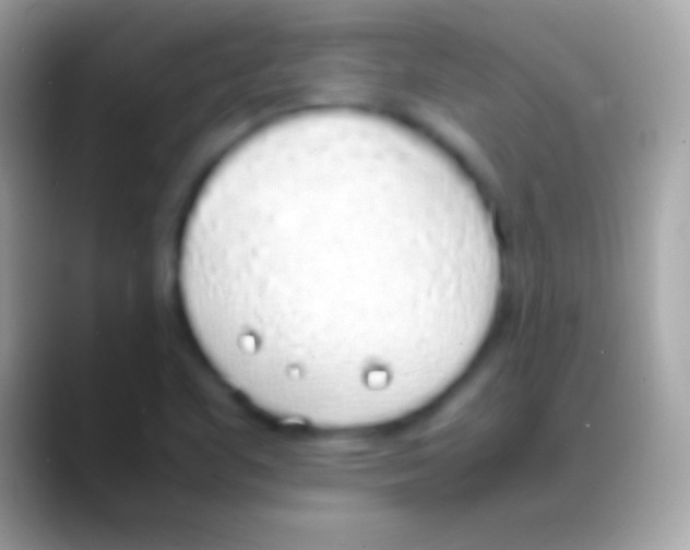 X0000088151461200706041346