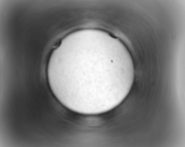 X0000088151464200706041346