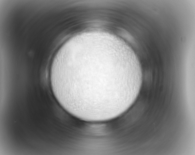 X0000088151466200706041346