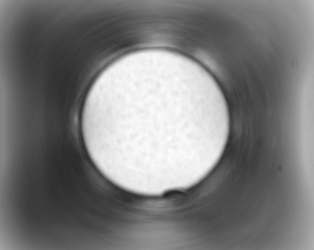 X0000088151468200706041346