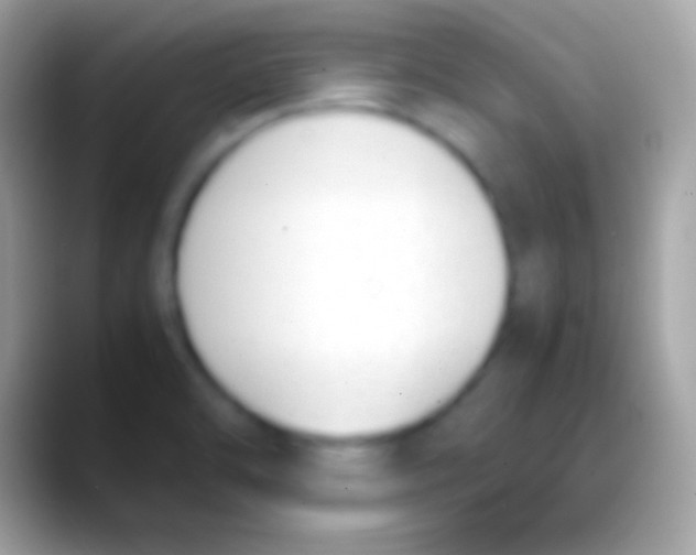 X0000088151470200706041346