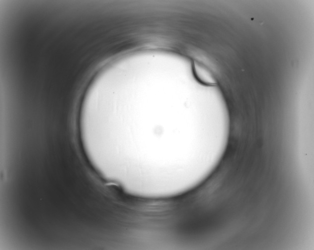 X0000088151471200706041346