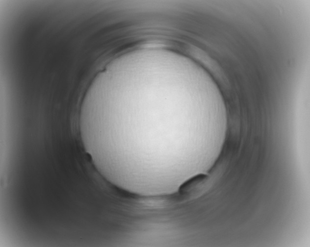 X0000088151473200706041346