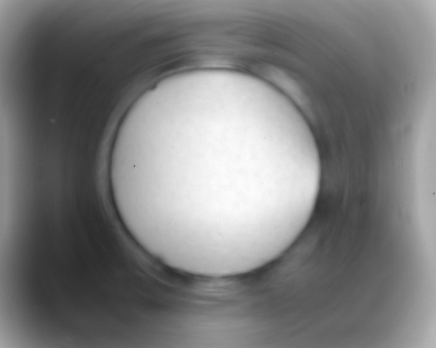 X0000088151475200706041346