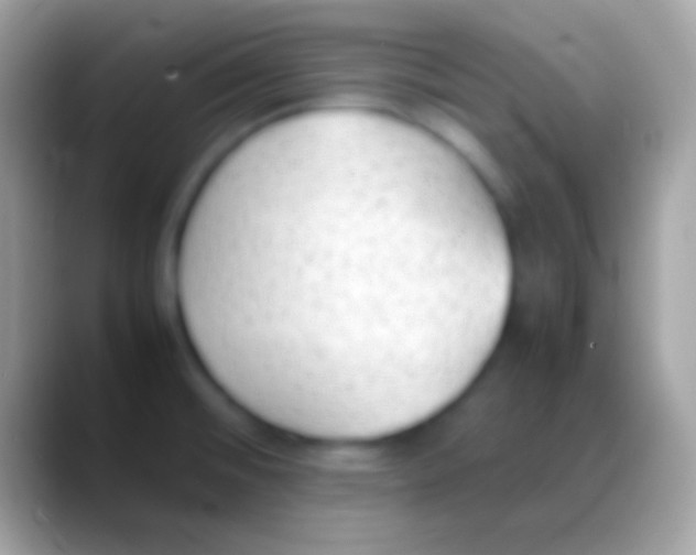 X0000088151476200706041346