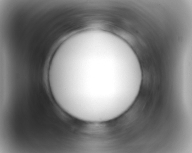 X0000088151478200706041346