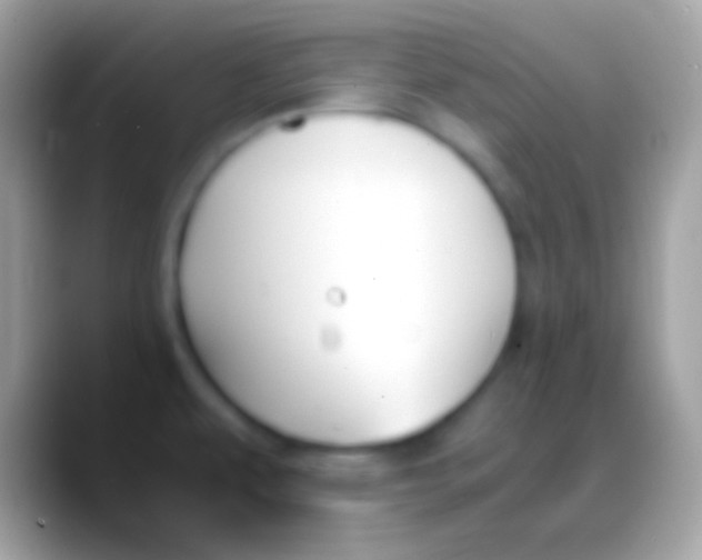 X0000088151479200706041346