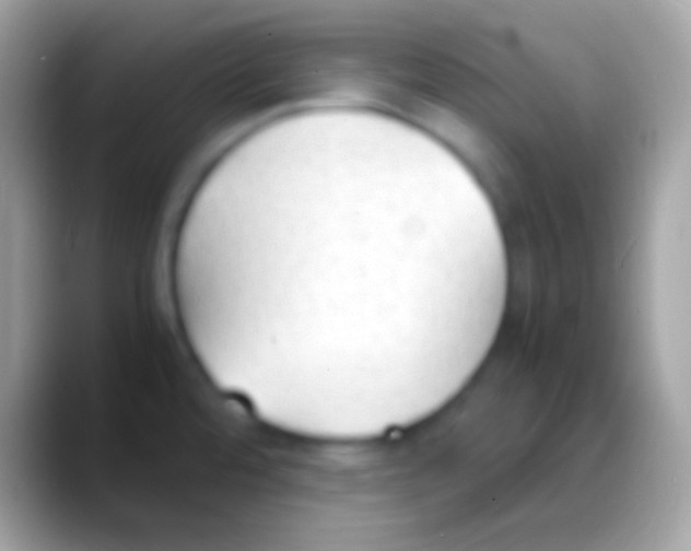 X0000088151480200706041346