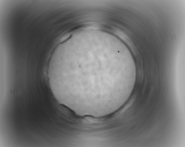 X0000088151481200706041346