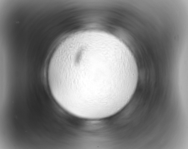 X0000088151482200706041346