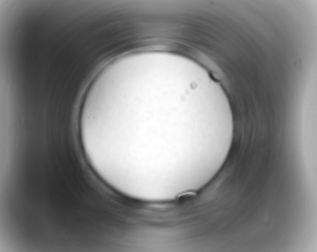 X0000088151483200706041346