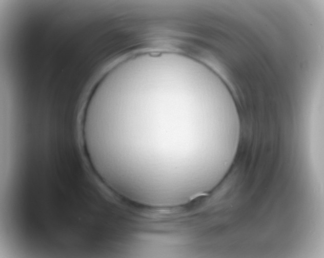 X0000088151485200706041346