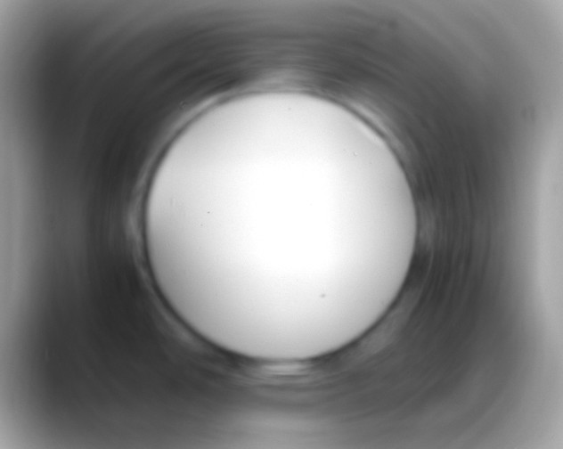 X0000088151486200706041346