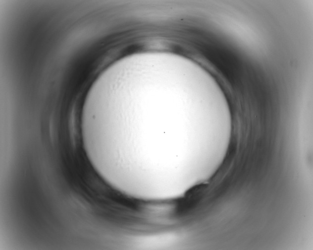 X0000088151487200706041346