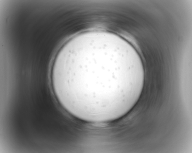 X0000088151488200706041346